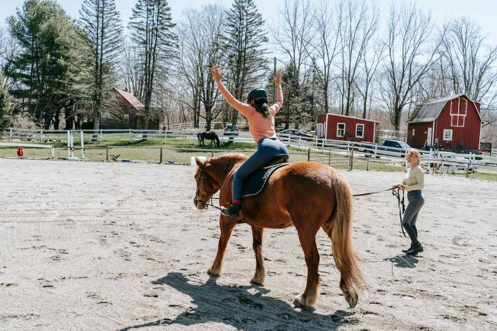 Como montar um curriculo dos sonhos